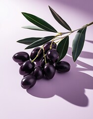 Fresh Black Ripe Olives with Green Branch on Delicate Lavender Background : Generative AI