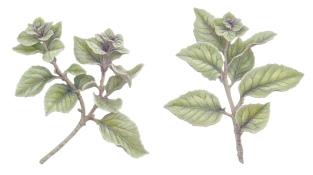 Bold Foliage and Graceful Flowers Combined Generative AI