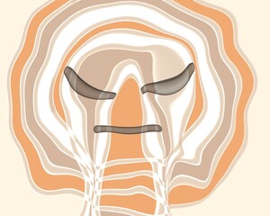 vector illustration of an abstract face