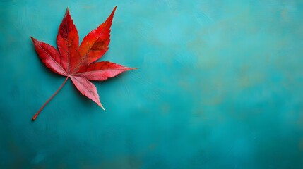 Single Red Maple Leaf On Teal Background
