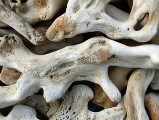 Intricate weathered driftwood pieces.