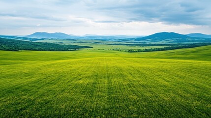 Obraz premium A lush green landscape stretches under a cloudy sky, showcasing rolling hills and an expansive field.