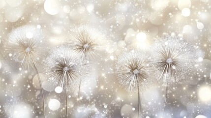 Sparkling silver dandelion seeds on bokeh background.