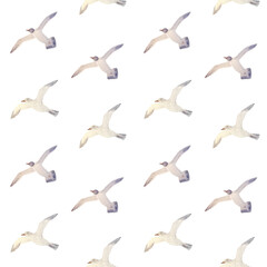 Sea gulls flying seamless pattern isolated on white. High quality hand-drawn watercolor flat illustration for notebooks, scrapbooking, wrapping paper, textile, sea voyage souvenirs decor and design
