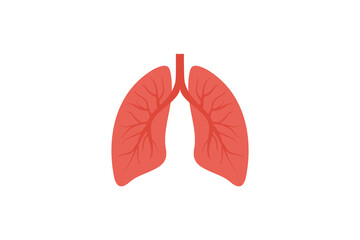 Simple Illustration of Human Lungs Anatomy. flat style illustration vector
