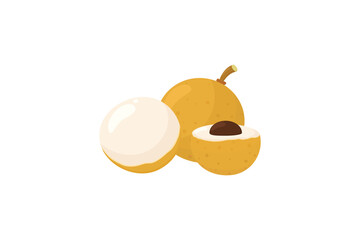 A whole and a half longan fruit are shown. longan fruit illustration in flat style vector