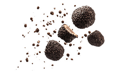 Rich black truffles, detailed texture, isolated on transparent background