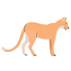 Cougar icon clipart avatar logotype isolated illustration