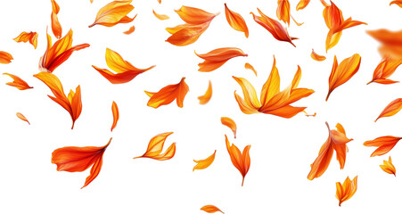 Saffron Threads Isolated on Transparent Background, Premium Stock Image, AI Generated