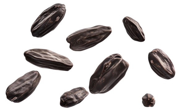 Tonka Beans Isolated on Transparent Background with Organic Realism