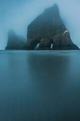 A unique view of Wharariki beach on a misty morning