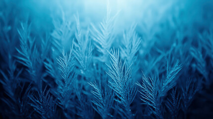 Intricate Frost Patterns on Window Captured in Macro Shot with Delicate Details and Colors