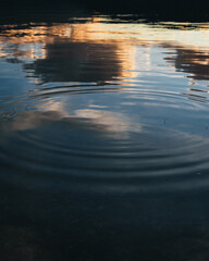 Reflection of a sunset in a pool of water as ripples come from a stone splash
