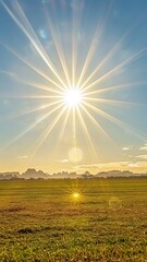 A bright sun is shining in a field of grass