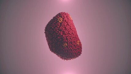 Biological assembly of HIV. Rendering of human immunodeficiency virus capsid which causes Acquired Immune Deficiency Syndrome (AIDS).