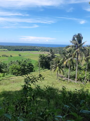 A day in a farm