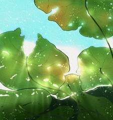 water drops on leaf