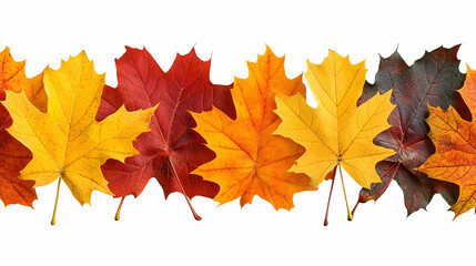 Fototapeta premium Autumn Maple Leaves Border, fall, foliage, red leaves, yellow leaves, orange leaves