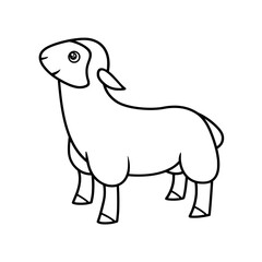 sheep