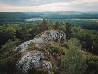 Overlook of a rocky hill and vast forests under cloudy skies