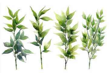 Fototapeta premium A watercolor illustration of various green plant branches, showcasing different leaf shapes.