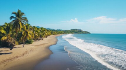 Obraz premium Tropical beach with palm trees and turquoise ocean under clear blue sky scenic view