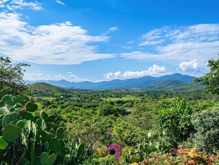 Scenic View of Lush Green Valley with Rolling Hills and Blue Sky with White Clouds