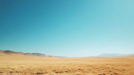 Fototapeta premium Golden Grasslands Under a Vast Blue Sky