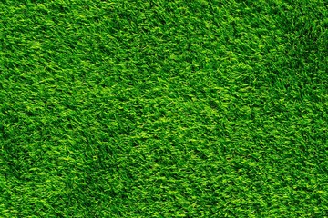 Obraz premium grass field background, Artificial grass