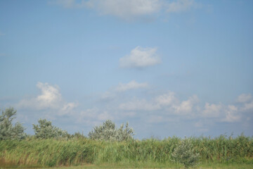Serene Countryside Landscape with Green Fields and Blue Sky on a Sunny Day for nature and countryside enthusiasts. Nature background for publication, poster, calendar, post. High quality photography