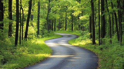 Obraz premium A road winding through a lush forest with sunlight breaking through the trees, symbolizing hope and success.