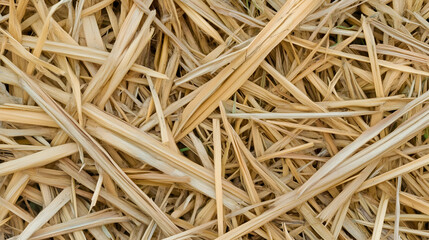 Dried Straw Texture Background. Rural field scene, agriculture. Useful for website design or textures