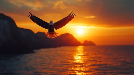 Bald eagle soaring, sunset ocean backdrop.