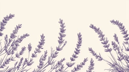 59.A hand-drawn illustration of lavender flowers arranged in a flowing border pattern, with thin, intricate line work creating a modern, minimalist style.