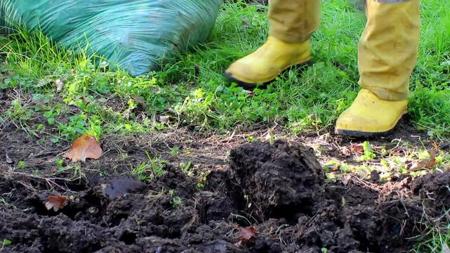 Gardener threshing soil with shovel