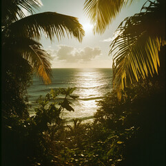 jamaica with the sun shining bright in the day with beach