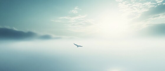 Fototapeta premium A lone bird soars into a vast, serene sky blurred by mist and illuminated by the soft, glowing light of dawn.