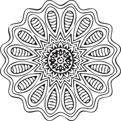 Beautiful flower art and mandala vector design