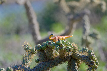 Plastic toy miniature orange and yellow dinosaur sitting on a cactus plant.