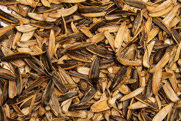 Particles, dust, dust, star dust, texture, material, roughness, pattern, shape, geometric shape, overlay