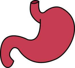 illustration of internal organs anatomy human body
