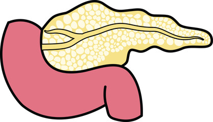 illustration of internal organs anatomy human body
