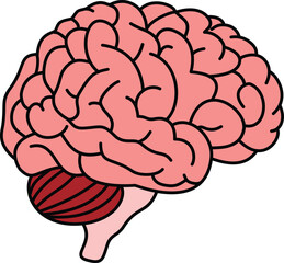 illustration of internal organs anatomy human body
