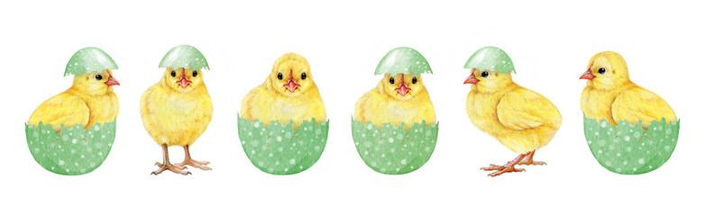 Easter mood cute funny yellow chicks in light-green colored eggs on white background. Hand drawn illustration set. Perfect for Easter decor designs, spring decor and rustic-themed art