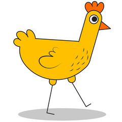 Yellow Rooster walks illustration