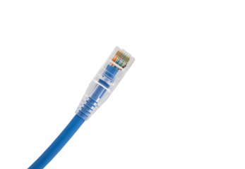Blue network cables with molded RJ45 plug on transparent background (PNG File)