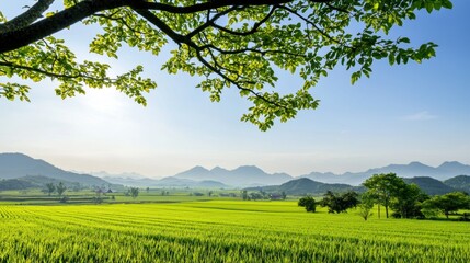 Naklejka premium Serene Green Landscape Under Sunlight