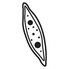 navicula sp line icon