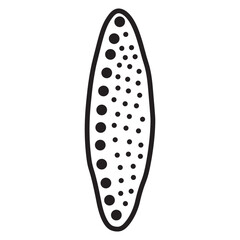 nitzschia palea line icon