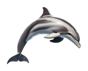 Obraz premium Cute dolphin jumping on a transparent background. isolated background.
